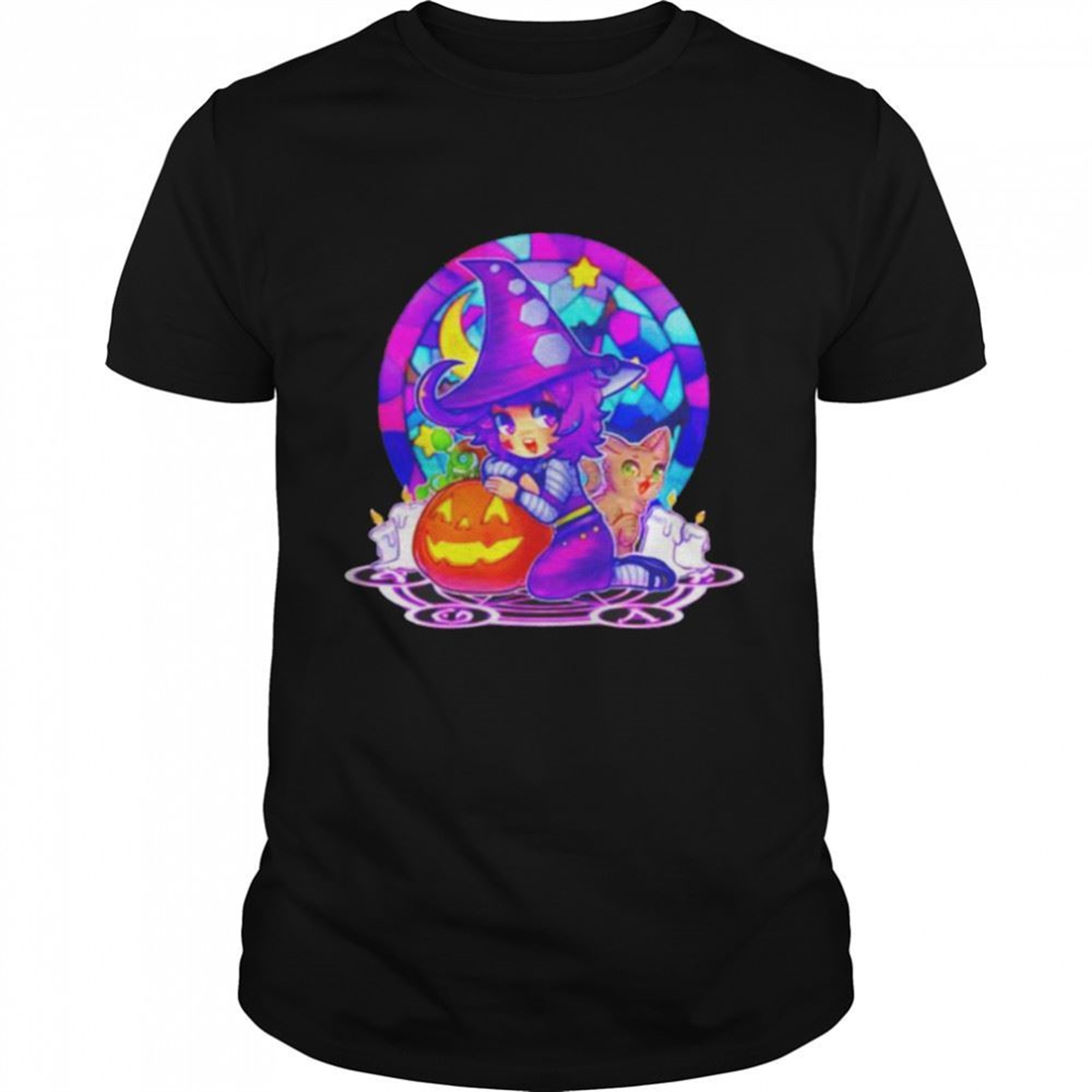 Halloween A Witch And Her Cat Shirt