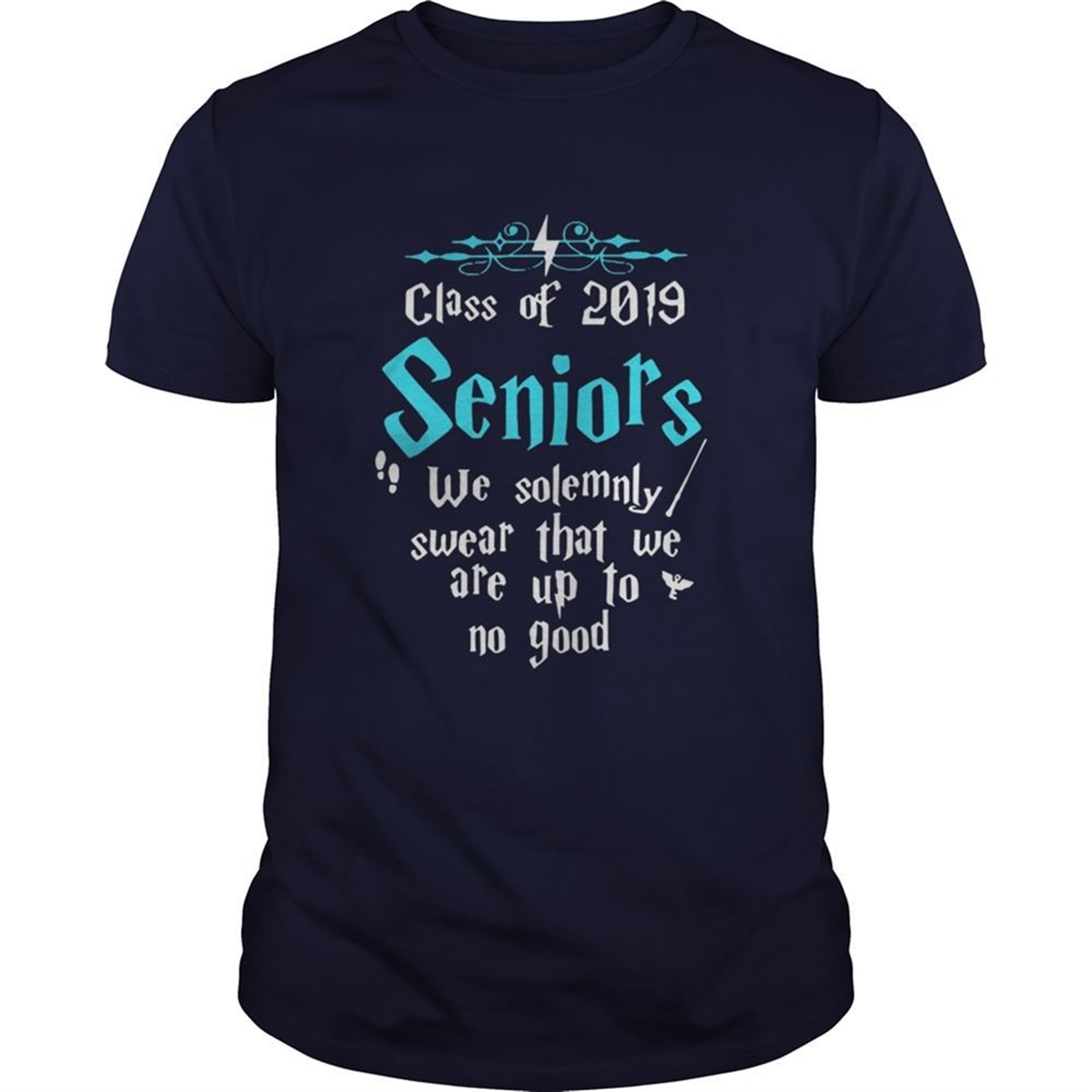 Halloween Class Of 2019 Seniors We Solemnly Swear That Shirt