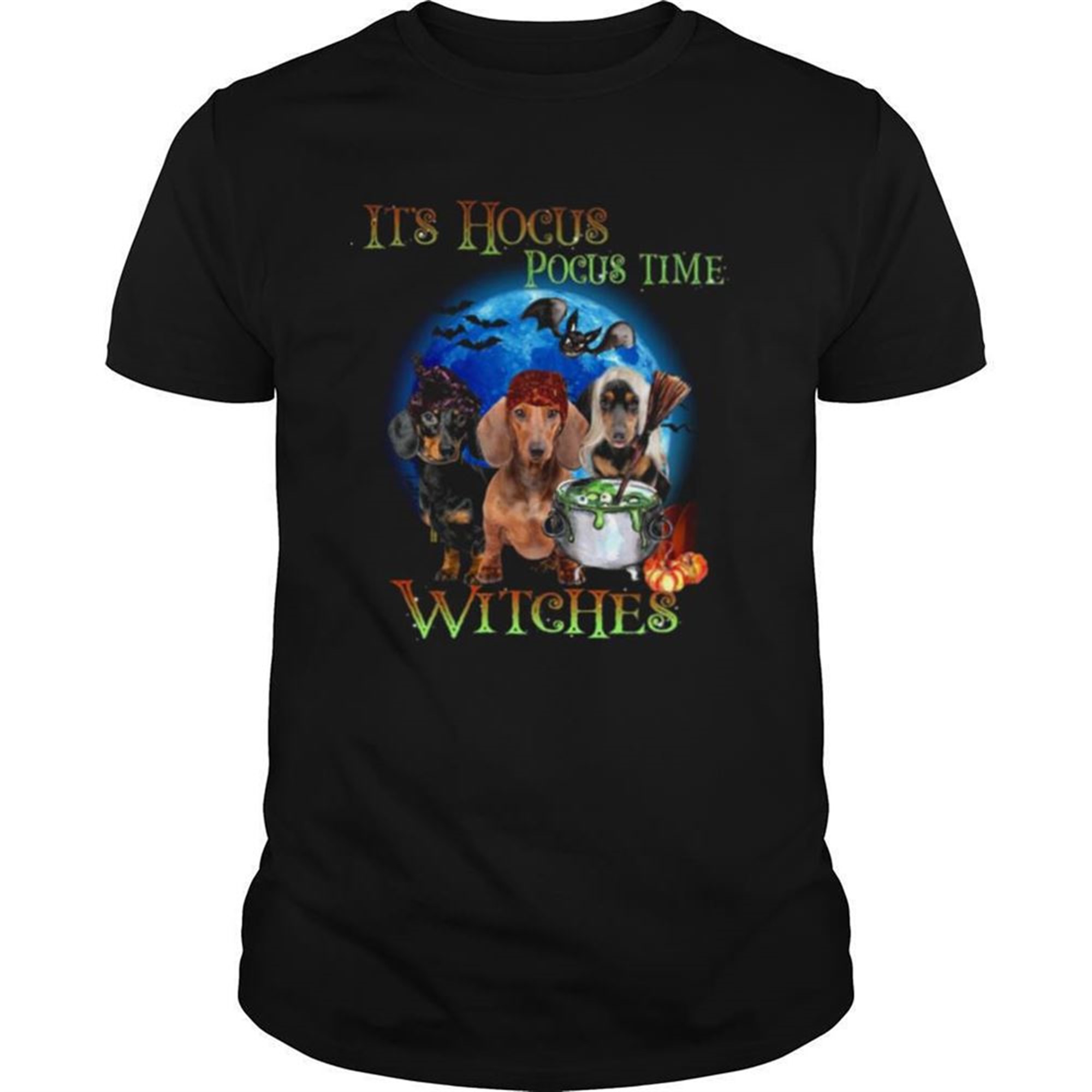 Halloween Dachshund Its Hocus Pocus Time Witches Tshirt