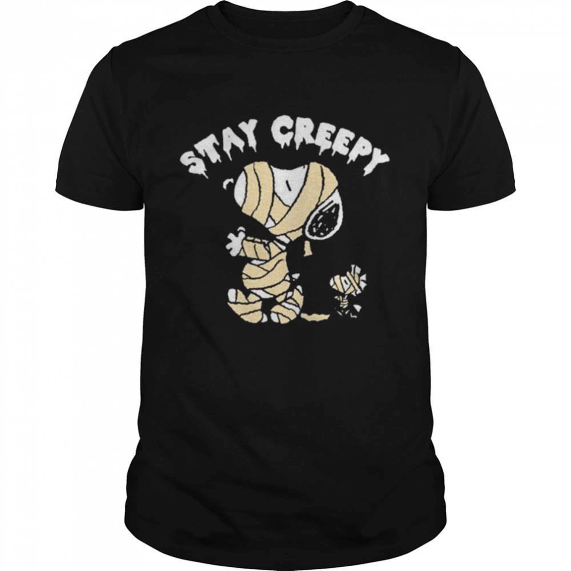 Halloween Snoopy And Woodstock Mummy Stay Creepy T-shirt