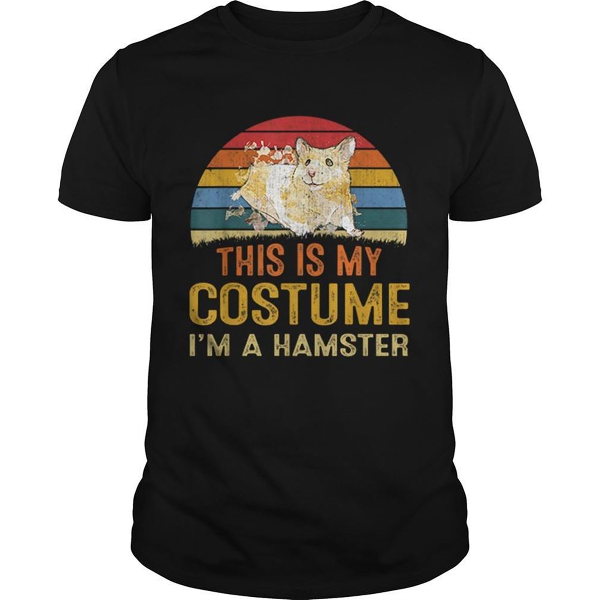 Nice This Is My Costume Hamster Vintage Halloween Shirt