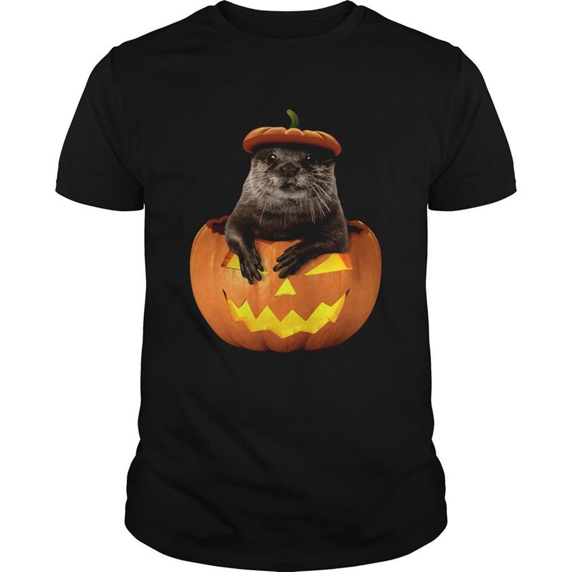 Otter In Pumpkin Halloween Shirt