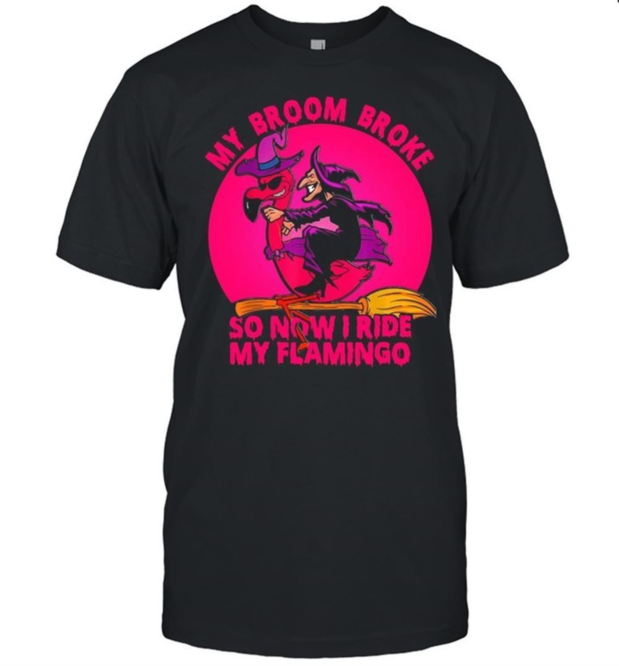 Witch My Broom Broke So Now I Ride My Flamingo Halloween Shirt