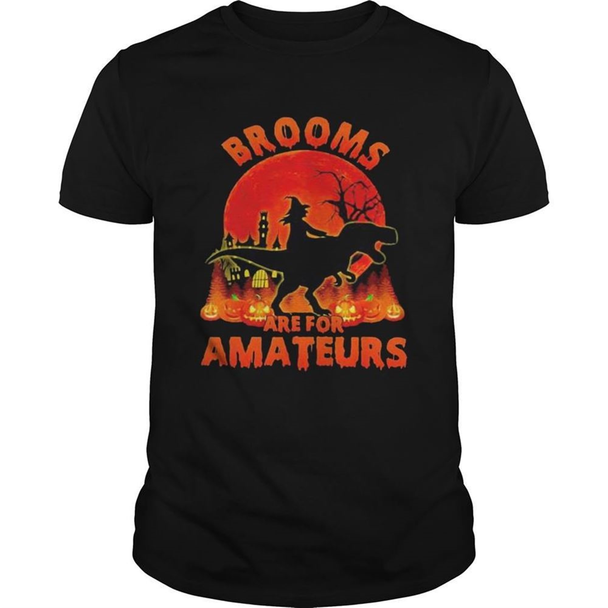 Witch Riding Dinosaurs Brooms Are For Amateurs Halloween Shirt