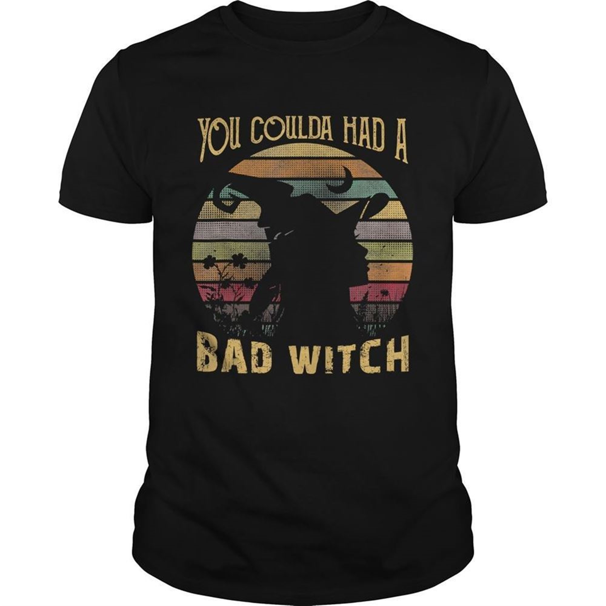 You Coulda Had A Bad Witch Halloween Funny Gift Awesome Tshirt