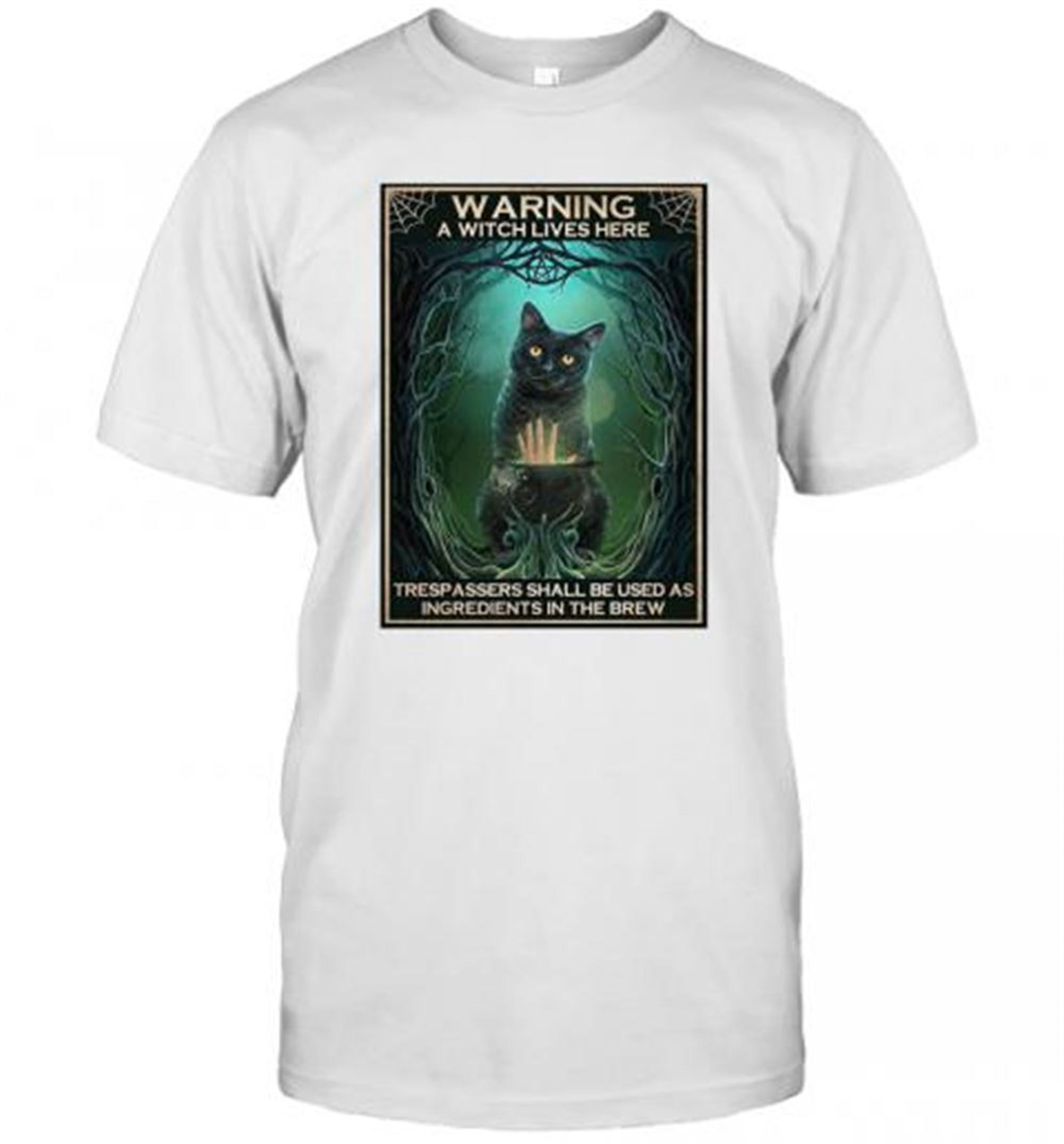 Black Cat Warning A Witch Lives Here Halloween T-shirt
