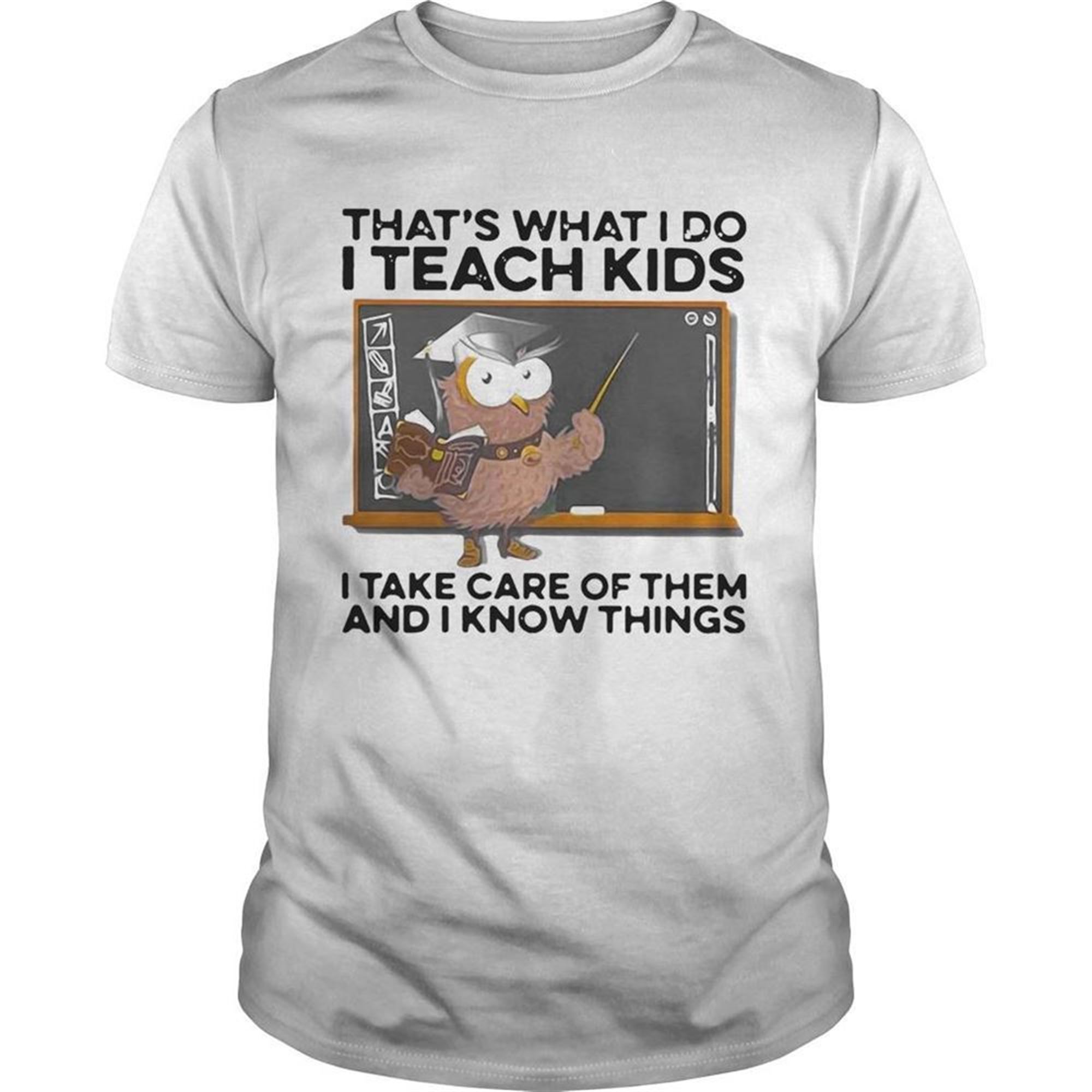 Thats What I Do I Teach Kids I Take Care Of Them And I Know Things Owl Halloween Shirt